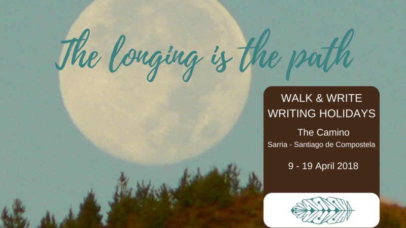 Walk & Write The Camino